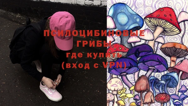 MDMA Premium VHQ Аркадак