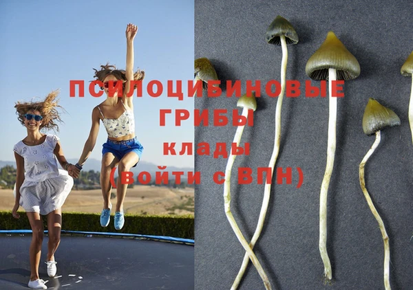 MDMA Premium VHQ Аркадак