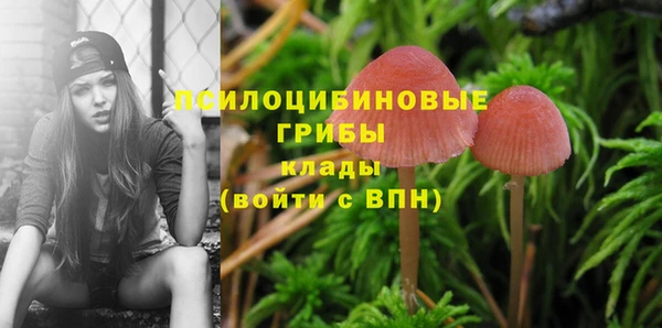 марки lsd Армянск